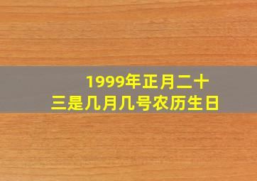 1999年正月二十三是几月几号农历生日