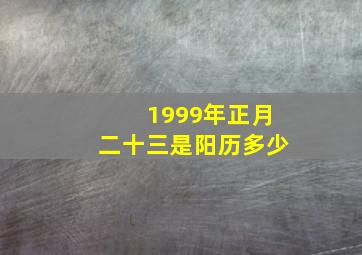 1999年正月二十三是阳历多少