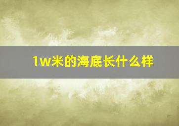 1w米的海底长什么样