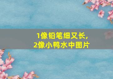 1像铅笔细又长,2像小鸭水中图片