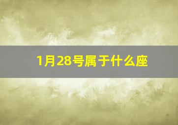 1月28号属于什么座