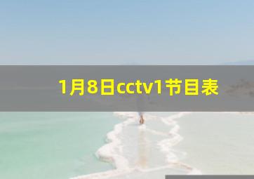 1月8日cctv1节目表