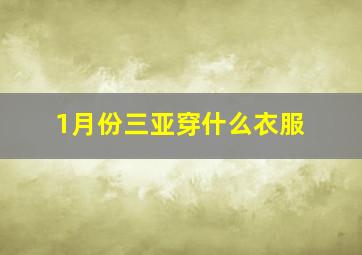 1月份三亚穿什么衣服