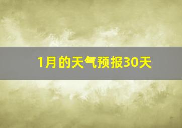 1月的天气预报30天