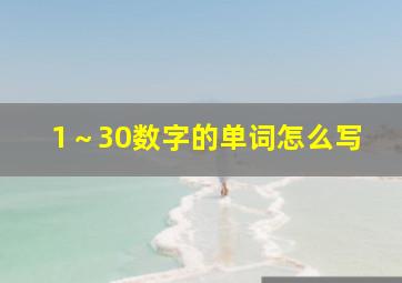 1～30数字的单词怎么写