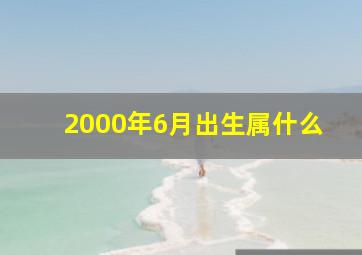 2000年6月出生属什么