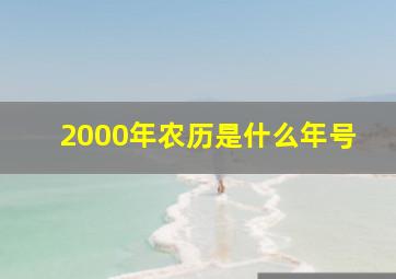 2000年农历是什么年号