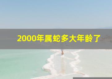 2000年属蛇多大年龄了