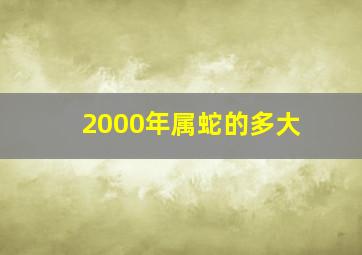 2000年属蛇的多大