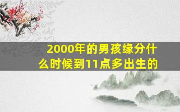 2000年的男孩缘分什么时候到11点多出生的