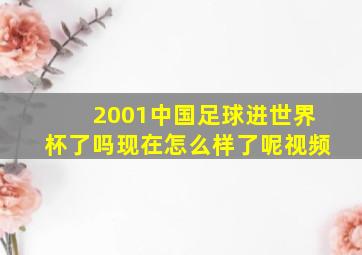 2001中国足球进世界杯了吗现在怎么样了呢视频