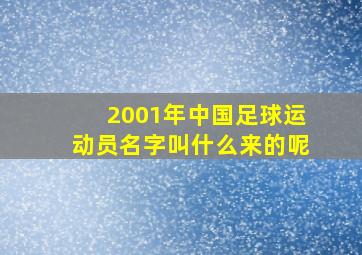 2001年中国足球运动员名字叫什么来的呢