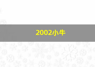 2002小牛