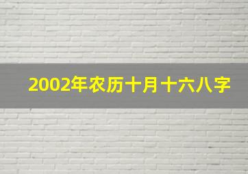 2002年农历十月十六八字