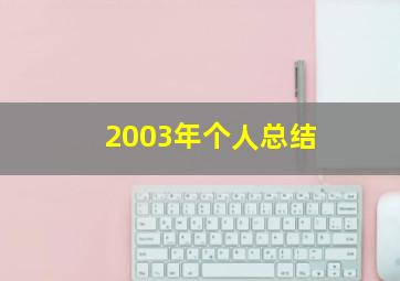 2003年个人总结