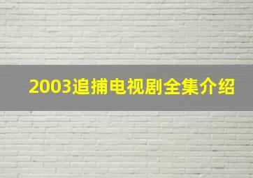 2003追捕电视剧全集介绍