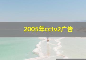 2005年cctv2广告