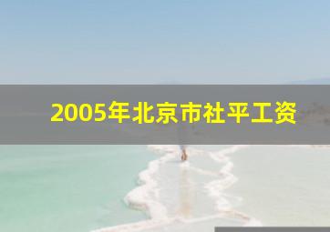 2005年北京市社平工资