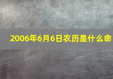 2006年6月6日农历是什么命