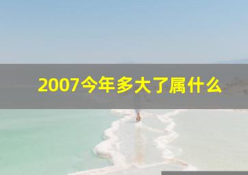 2007今年多大了属什么