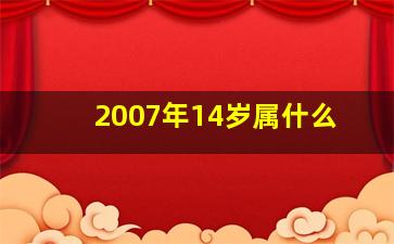 2007年14岁属什么