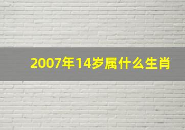 2007年14岁属什么生肖