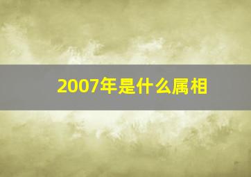 2007年是什么属相