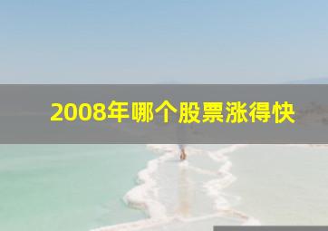 2008年哪个股票涨得快