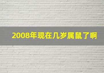 2008年现在几岁属鼠了啊