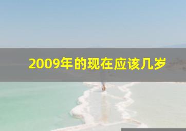 2009年的现在应该几岁