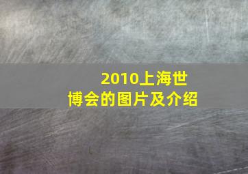 2010上海世博会的图片及介绍