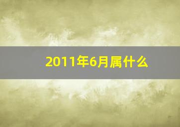 2011年6月属什么