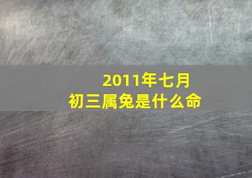 2011年七月初三属兔是什么命