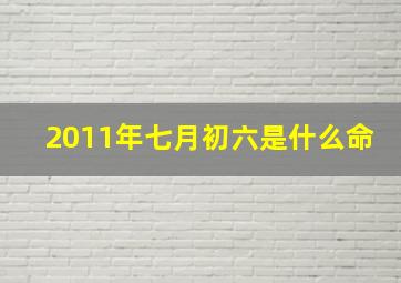 2011年七月初六是什么命