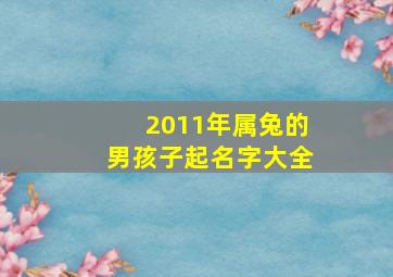 2011年属兔的男孩子起名字大全