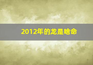 2012年的龙是啥命