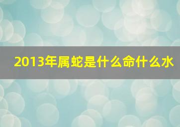 2013年属蛇是什么命什么水