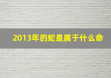 2013年的蛇是属于什么命