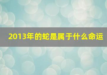 2013年的蛇是属于什么命运