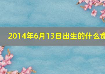 2014年6月13日出生的什么命