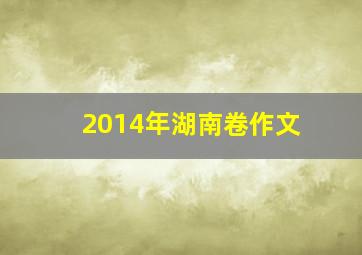 2014年湖南卷作文