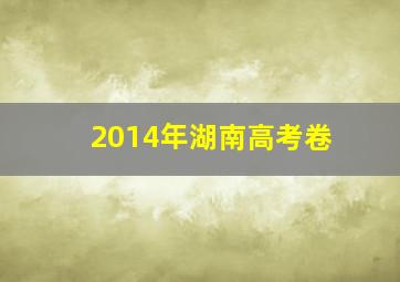 2014年湖南高考卷