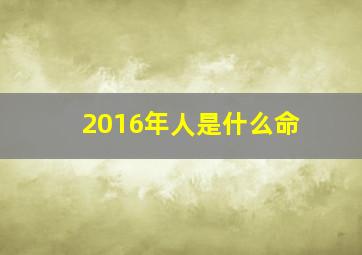 2016年人是什么命