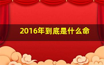 2016年到底是什么命