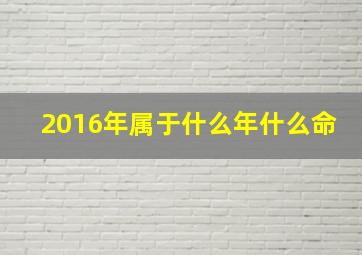 2016年属于什么年什么命