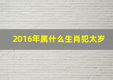 2016年属什么生肖犯太岁