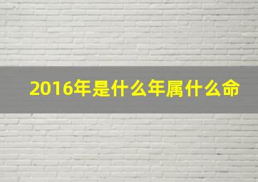 2016年是什么年属什么命