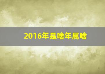 2016年是啥年属啥