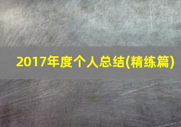 2017年度个人总结(精练篇)