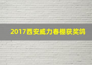 2017西安威力春棚获奖鸽